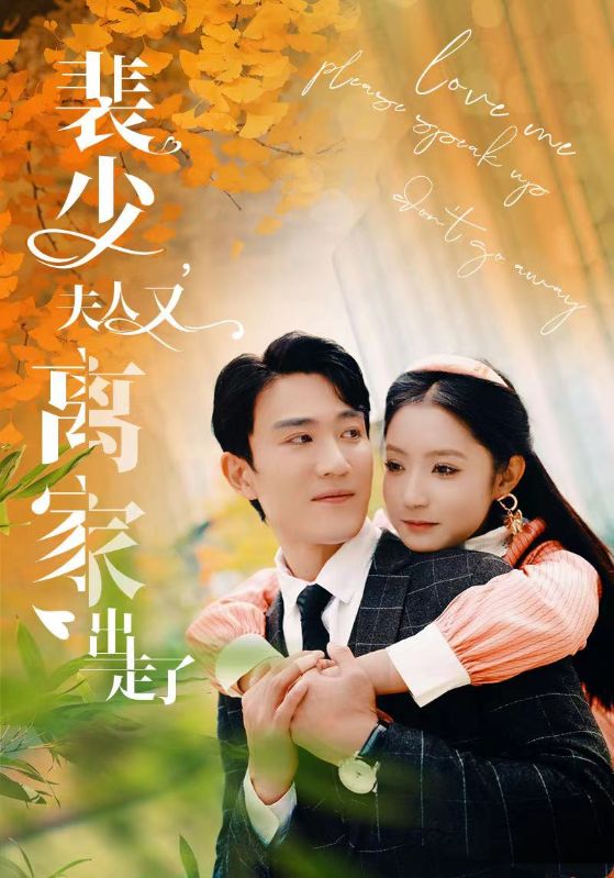 裴少,夫人又离家出走了